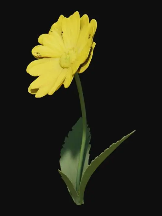 3D model for buttercup, flower, with tall stem well detailed