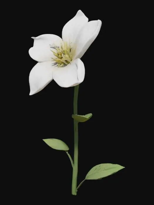 3D model for jasmine, flower, with tall stem well detailed