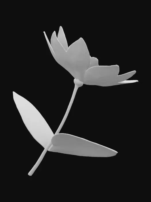 3D model for jasmine, flower, with tall stem well detailed