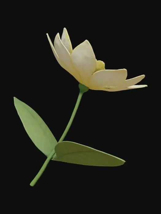 3D model for jasmine, flower, with tall stem well detailed