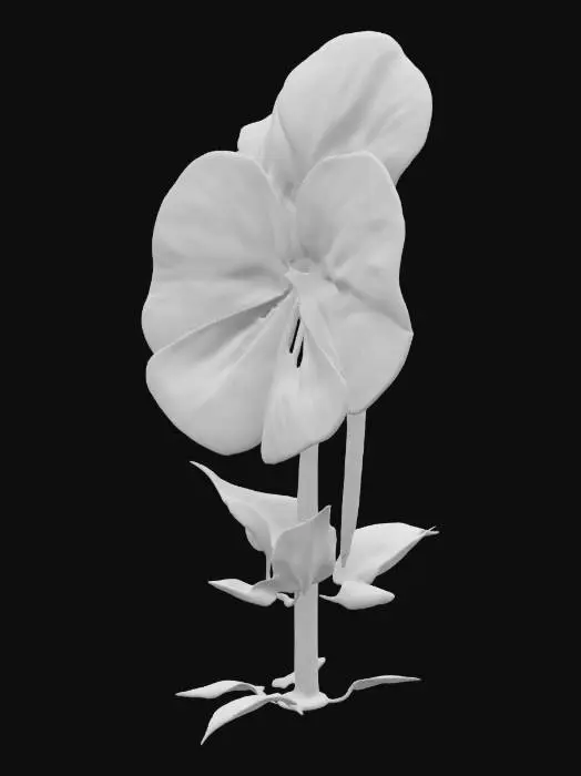 3D model for pansy, flower, with tall stem well detailed
