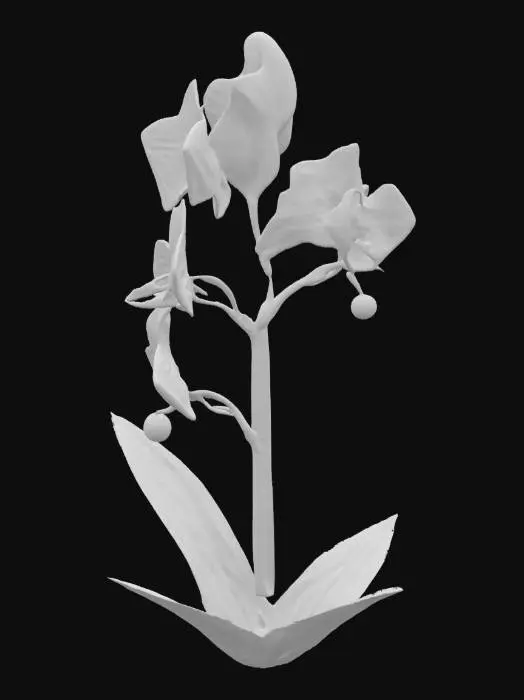 3D model for orchid, flower, with tall stem well detailed