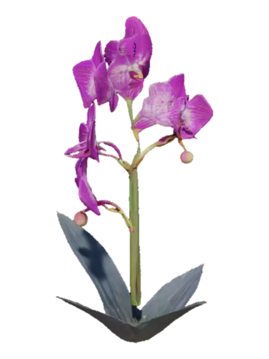 orchid, flower, with tall stem well detailed 3D model, vytvořený pomocí AI