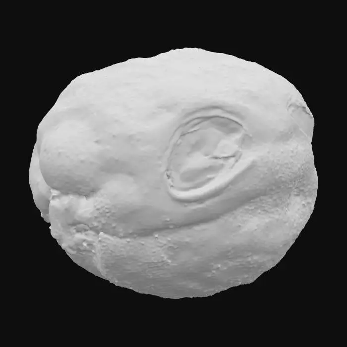 3D model for charles the lemon