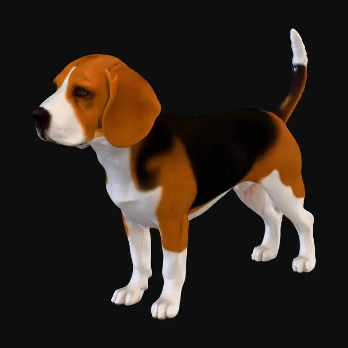 3D model for Regal Beagle