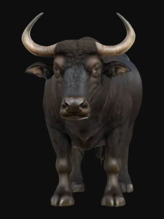 3D model for Kalabaw