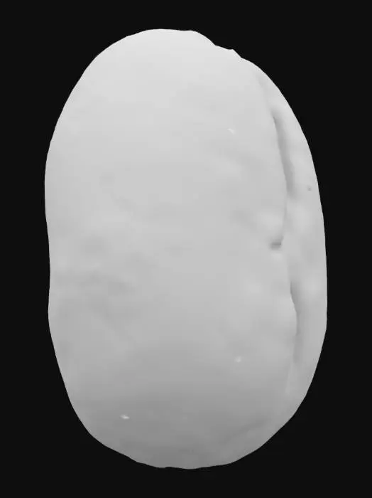 3D model for Coffee Essence