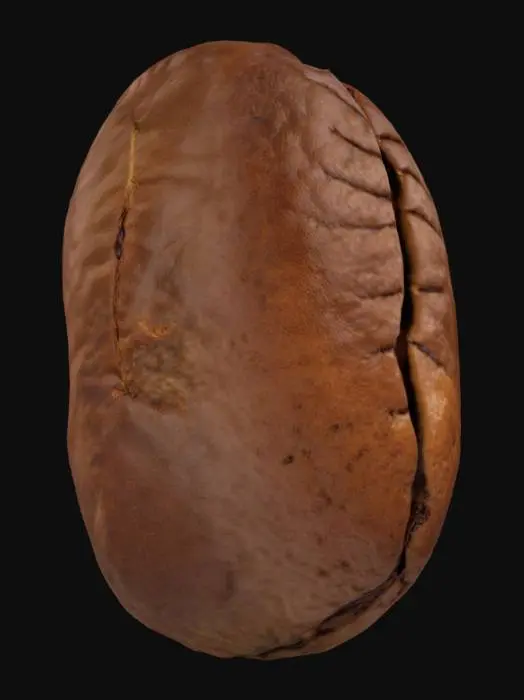 3D model for Coffee Essence