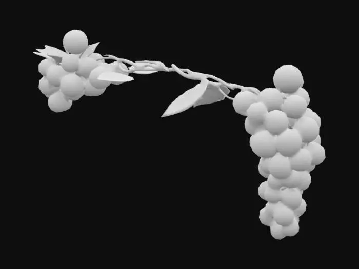3D model for A bunch of perfectly formed grapes hanging on a small single vine several leaves 
