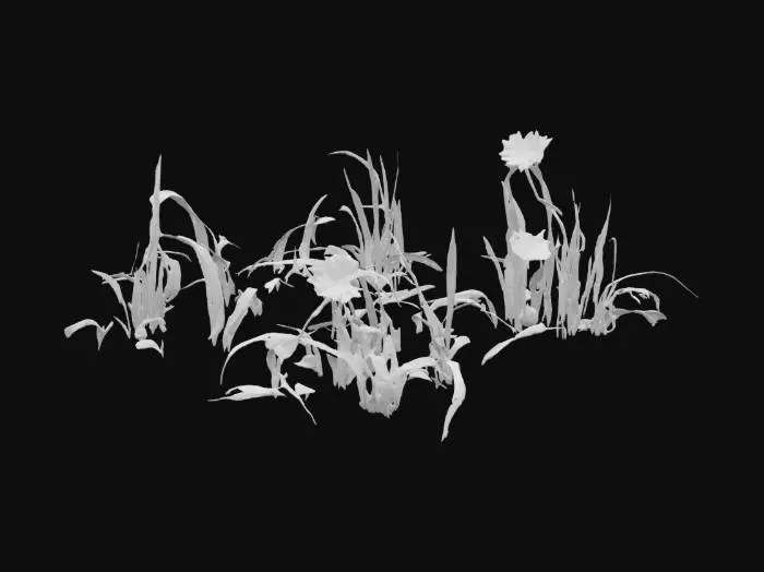 3D model for forest green  grass 