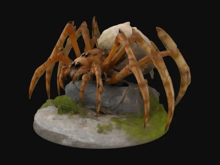 3D model for Spider Encounter
