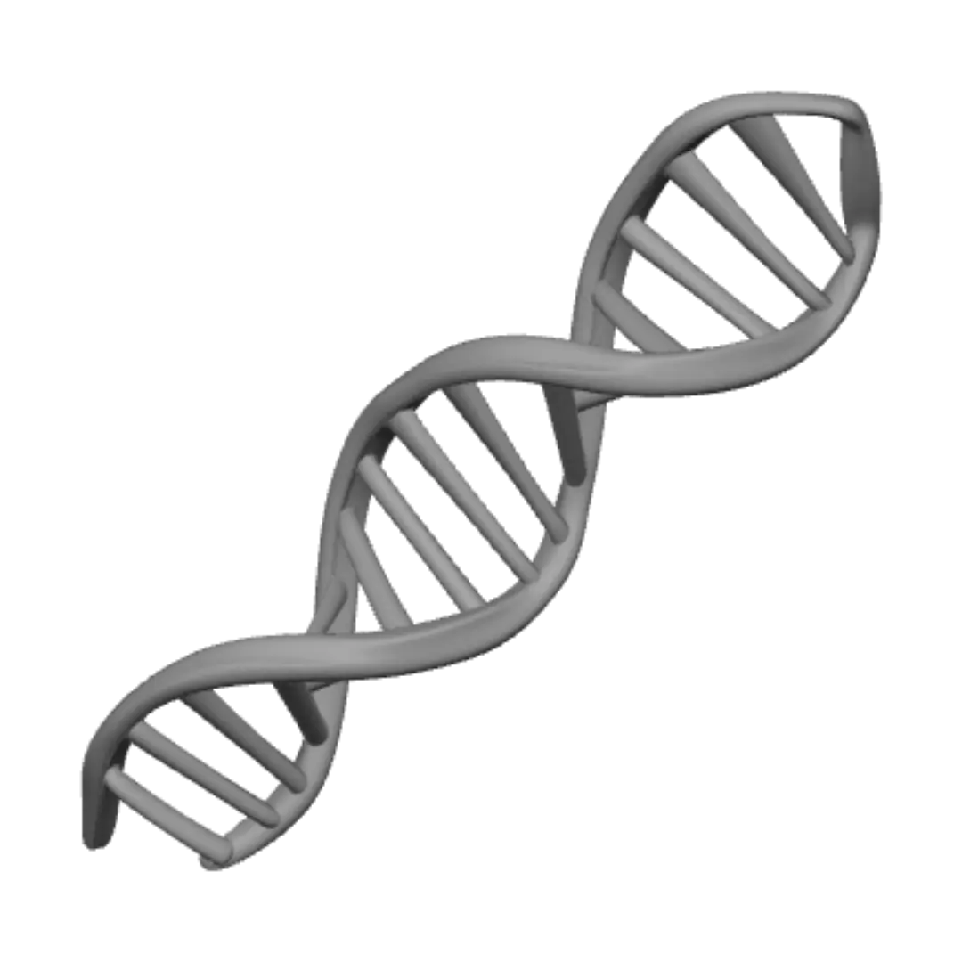 dna