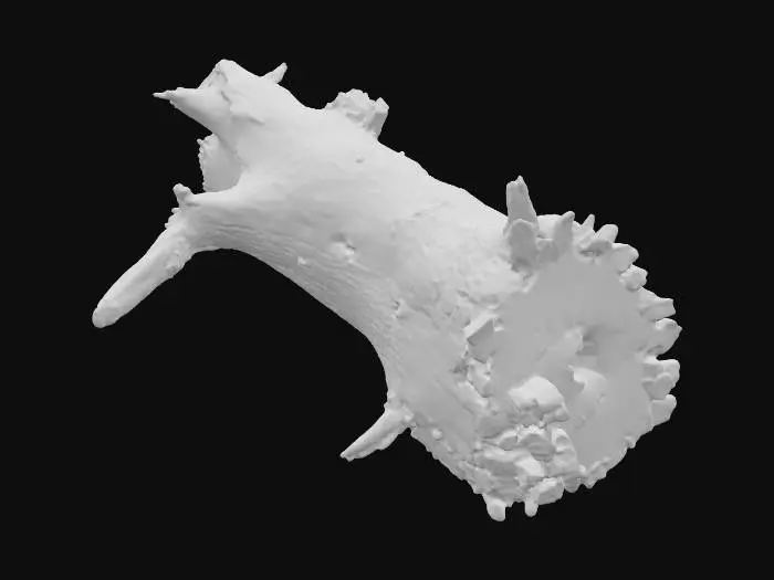 3D model for A realistic 3D model of a large fallen tree log in winter. The trunk should be long, rough, and weathered, with broken branches and jagged ends. Snow covers the top of the log in uneven layers, forming natural drifts while leaving some bark exposed. The bark should be dark, textured, and partially stripped in areas, showing lighter wood beneath. Small twigs and broken stubs should protrude from the log for added realism. Snow should look soft and piled naturally, with subtle depth where it meets the bark. Use PBR textures: rough bark, matte snow with light reflection. Optimized for Unreal Engine 5. Standalone asset, no background.