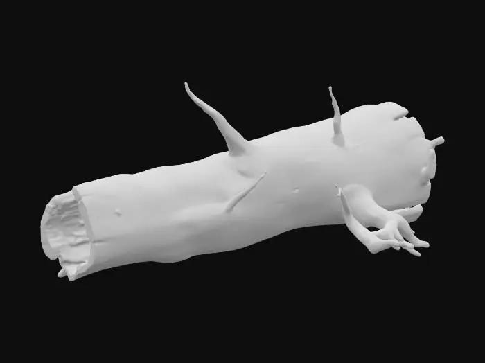 3D model for A realistic 3D model of a large fallen tree log in winter. The trunk should be long, rough, and weathered, with broken branches and jagged ends. Snow covers the top of the log in uneven layers, forming natural drifts while leaving some bark exposed. The bark should be dark, textured, and partially stripped in areas, showing lighter wood beneath. Small twigs and broken stubs should protrude from the log for added realism. Snow should look soft and piled naturally, with subtle depth where it meets the bark. Use PBR textures: rough bark, matte snow with light reflection. Optimized for Unreal Engine 5. Standalone asset, no background.