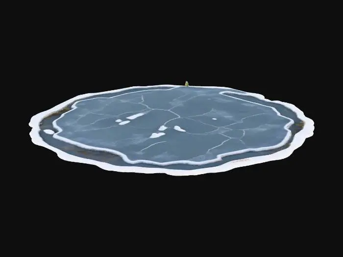 3D model for A realistic 3D model of a small frozen pond in winter. The surface should be covered with ice, slightly uneven with subtle cracks, frosty patches, and snow dusting along the edges. Surround the pond with a thin bank of snow-covered ground, reeds, and small clumps of vegetation poking through the ice. Trees or shrubs nearby should be bare or lightly frosted, with branches dusted in snow. The ice should have a semi-transparent, slightly reflective look with natural variations in color from pale gray-blue to white. Use PBR textures: rough frosted ice, matte snow, and realistic bark for any surrounding detail. Optimized for Unreal Engine 5. Standalone asset, no background.