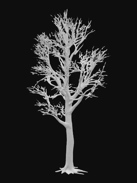 3D model for A realistic 3D model of a mature maple tree in winter. The tree should have a strong, dark brown trunk that splits into multiple thick branches near the base. The branches spread wide and form an irregular, natural silhouette. The tree is completely bare, with no leaves, showing only the intricate network of thin twigs against the winter sky. The bark should have detailed texture with cracks and grooves. The base of the tree should be modeled as if standing in a snowy field, but the model itself should not include the background—only the tree. The overall look should capture the stark, leafless appearance of a maple tree in the cold season. Optimized for use in Unreal Engine 5, with clean geometry and realistic PBR textures for bark.