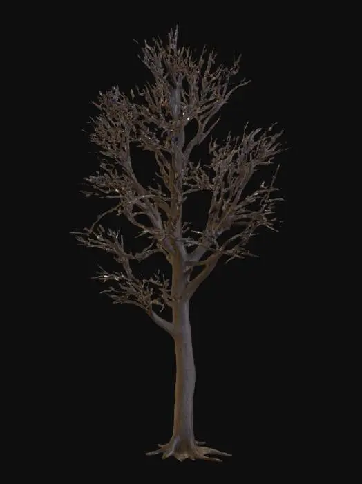 3D model for A realistic 3D model of a mature maple tree in winter. The tree should have a strong, dark brown trunk that splits into multiple thick branches near the base. The branches spread wide and form an irregular, natural silhouette. The tree is completely bare, with no leaves, showing only the intricate network of thin twigs against the winter sky. The bark should have detailed texture with cracks and grooves. The base of the tree should be modeled as if standing in a snowy field, but the model itself should not include the background—only the tree. The overall look should capture the stark, leafless appearance of a maple tree in the cold season. Optimized for use in Unreal Engine 5, with clean geometry and realistic PBR textures for bark.
