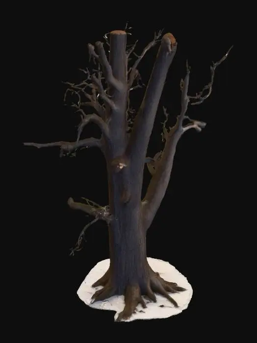 3D model for A realistic 3D model of a mature maple tree in winter. The tree should have a strong, dark brown trunk that splits into multiple thick branches near the base. The branches spread wide and form an irregular, natural silhouette. The tree is completely bare, with no leaves, showing only the intricate network of thin twigs against the winter sky. The bark should have detailed texture with cracks and grooves. The base of the tree should be modeled as if standing in a snowy field, but the model itself should not include the background—only the tree. The overall look should capture the stark, leafless appearance of a maple tree in the cold season. Optimized for use in Unreal Engine 5, with clean geometry and realistic PBR textures for bark.