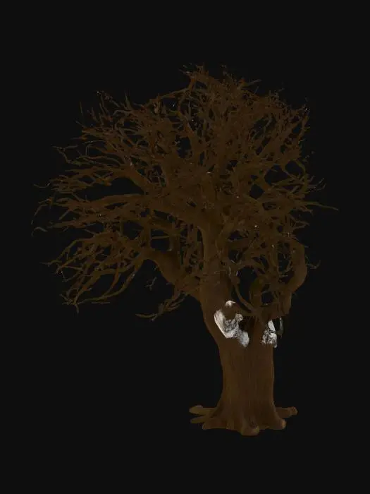 3D model for A realistic 3D model of a mature maple tree in winter. The tree should have a strong, dark brown trunk that splits into multiple thick branches near the base. The branches spread wide and form an irregular, natural silhouette. The tree is completely bare, with no leaves, showing only the intricate network of thin twigs against the winter sky. The bark should have detailed texture with cracks and grooves. The base of the tree should be modeled as if standing in a snowy field, but the model itself should not include the background—only the tree. The overall look should capture the stark, leafless appearance of a maple tree in the cold season. Optimized for use in Unreal Engine 5, with clean geometry and realistic PBR textures for bark.