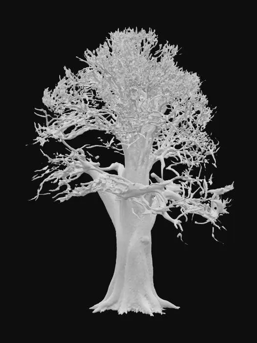 3D model for A realistic 3D model of a large red oak tree in winter. The tree should have a thick, sturdy trunk with deeply textured bark and strong, spreading branches that form a broad, rounded canopy. The branches are mostly bare but should include a scattering of dry, brown oak leaves still clinging to the tips, typical of red oaks in winter. The silhouette should feel wide and expansive, with natural asymmetry in branch placement. The bark should use PBR textures with rough, cracked details for realism. The model should be optimized for Unreal Engine 5 with clean geometry and realistic materials. Include only the tree itself—no background, buildings, or ground.
