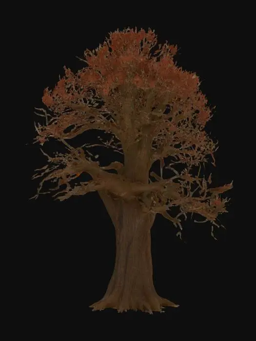 3D model for A realistic 3D model of a large red oak tree in winter. The tree should have a thick, sturdy trunk with deeply textured bark and strong, spreading branches that form a broad, rounded canopy. The branches are mostly bare but should include a scattering of dry, brown oak leaves still clinging to the tips, typical of red oaks in winter. The silhouette should feel wide and expansive, with natural asymmetry in branch placement. The bark should use PBR textures with rough, cracked details for realism. The model should be optimized for Unreal Engine 5 with clean geometry and realistic materials. Include only the tree itself—no background, buildings, or ground.