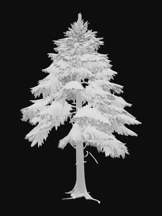 3D model for A highly realistic 3D model of an Eastern Hemlock tree in winter. The tree should have a tall, conical shape with slightly drooping branches layered in tiers. Each branch is covered in snow, creating a natural, heavy draped look that softens the tree’s silhouette. The needles beneath the snow should be dark green and fine, visible in some areas where the snow is lighter. The tree’s overall shape should be irregular but dense, with its signature graceful, downward-sweeping branch tips. The trunk is mostly hidden but should still include subtle bark texture where visible. The model should be optimized for Unreal Engine 5, with clean geometry and realistic PBR textures (snow materials with soft shading and conifer needle detail). Only the tree itself should be included—no background or ground