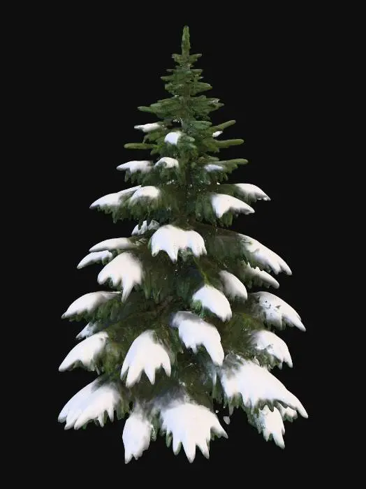 3D model for A highly realistic 3D model of an Eastern Hemlock tree in winter. The tree should have a tall, conical shape with slightly drooping branches layered in tiers. Each branch is covered in snow, creating a natural, heavy draped look that softens the tree’s silhouette. The needles beneath the snow should be dark green and fine, visible in some areas where the snow is lighter. The tree’s overall shape should be irregular but dense, with its signature graceful, downward-sweeping branch tips. The trunk is mostly hidden but should still include subtle bark texture where visible. The model should be optimized for Unreal Engine 5, with clean geometry and realistic PBR textures (snow materials with soft shading and conifer needle detail). Only the tree itself should be included—no background or ground