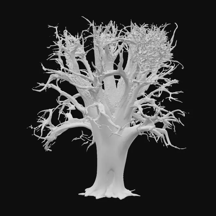 3D model for A realistic 3D model of a large red oak tree in winter. The tree should have a thick, sturdy trunk with deeply textured bark and strong, spreading branches that form a broad, rounded canopy. The branches are mostly bare but should include a scattering of dry, a few brown oak leaves still clinging to the tips, typical of red oaks in winter. The silhouette should feel wide and expansive, with natural asymmetry in branch placement. The bark should use PBR textures with rough, cracked details for realism. The model should be optimized for Unreal Engine 5 with clean geometry and realistic materials. Include only the tree itself—no background, buildings, or ground.
