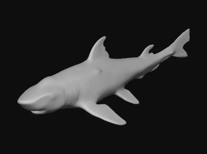 3D model for Ancient Shark Fossil Display