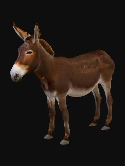 3D model for Donkey Profile