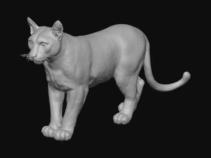 3D model for realistic cougar for roblox