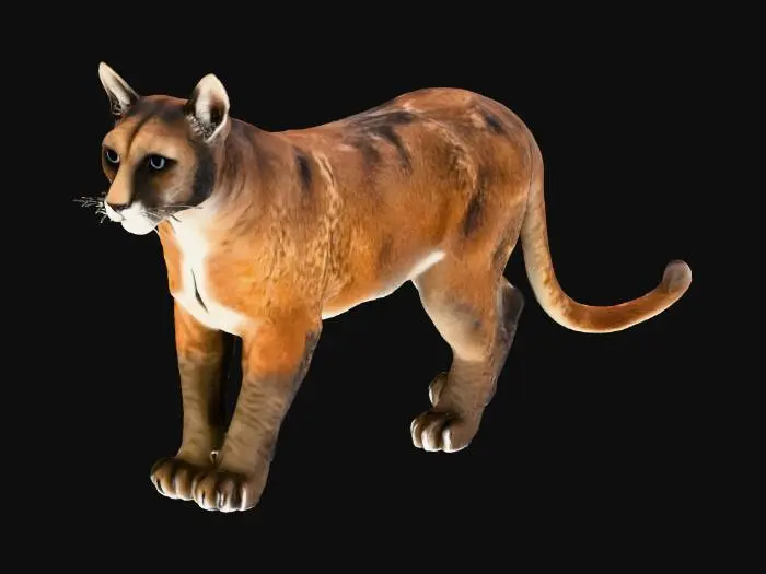 3D model for realistic cougar for roblox