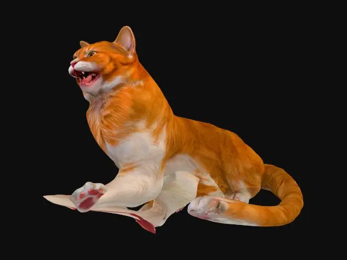 3D model for Surprised Feline