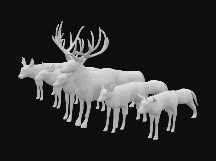 3D model for deers