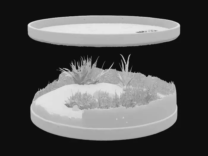 3D model for huge circle fish tank with no fishes in it 