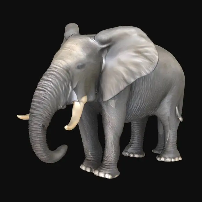 3D model for elephant