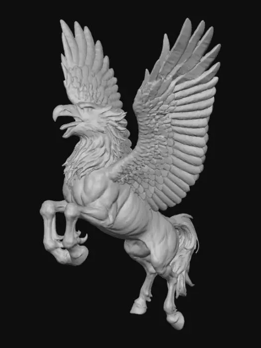 3D model for hypoglifo