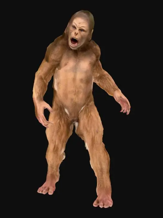 3D model for yeti