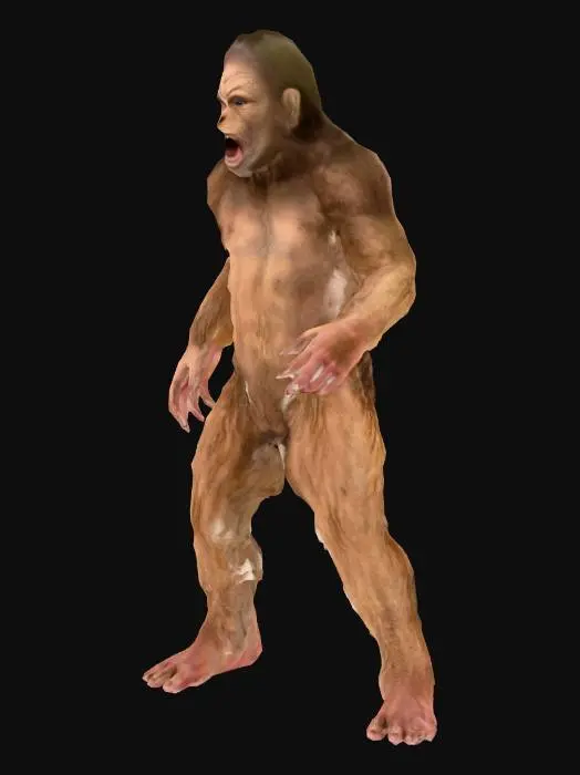 3D model for yeti