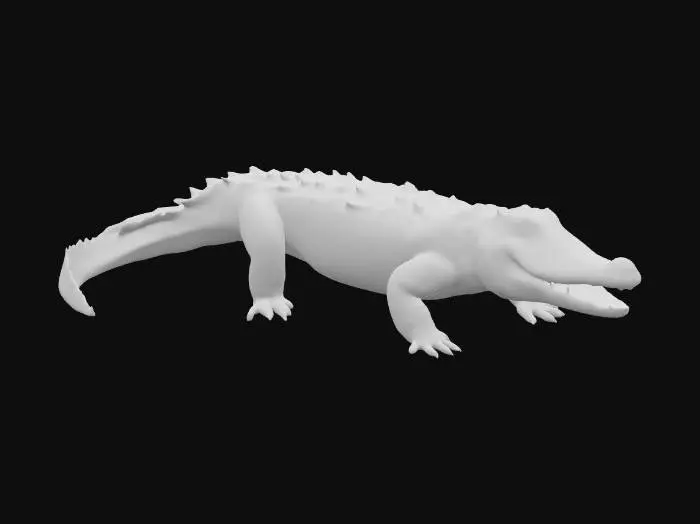 3D model for realistic alligator