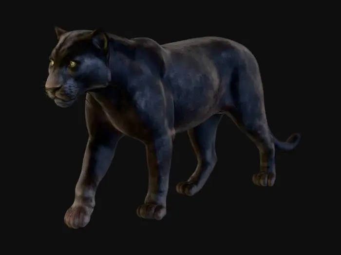 3D model for Panther Stroll