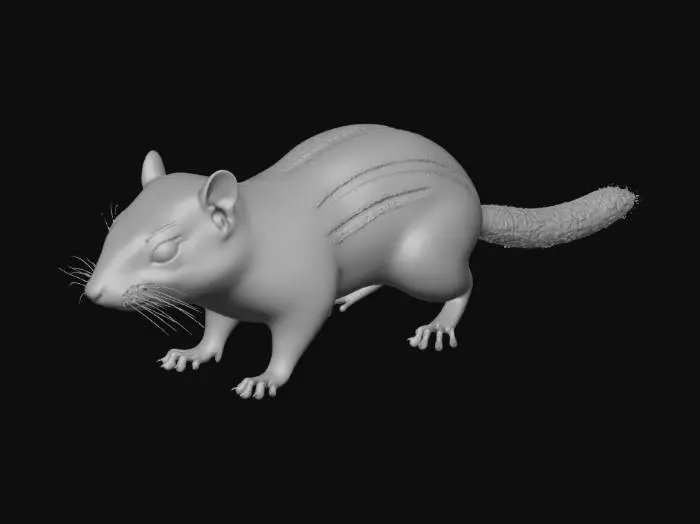 3D model for Chipmunk Portrait