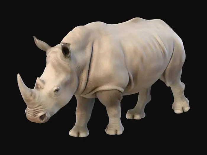 3D model for Majestic Rhino