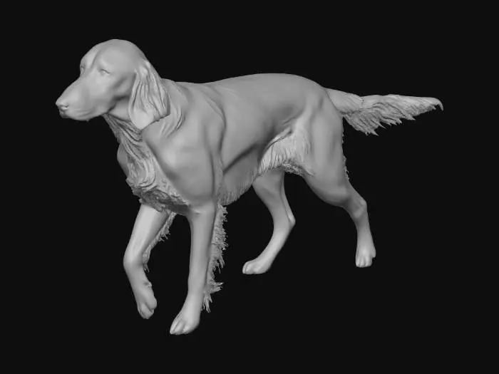 3D model for Majestic Setter