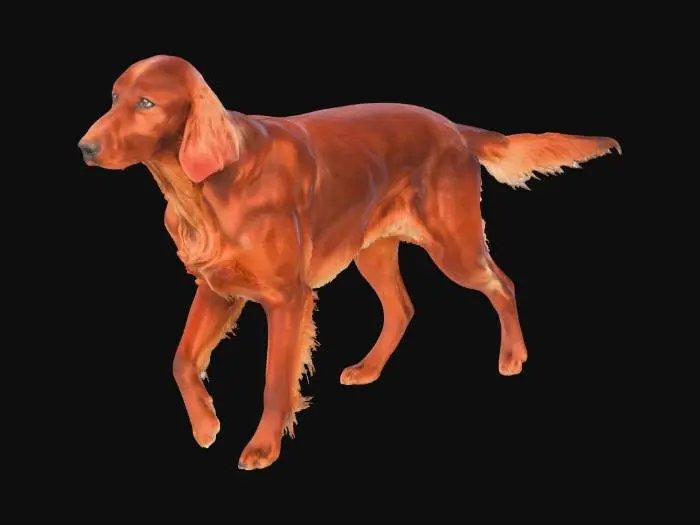 3D model for Majestic Setter