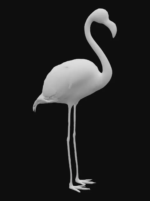 3D model for realistic flamingo
