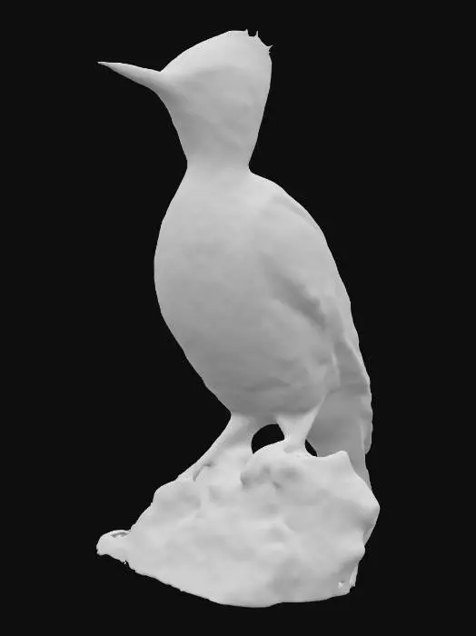 3D model for realistic woodpecker
