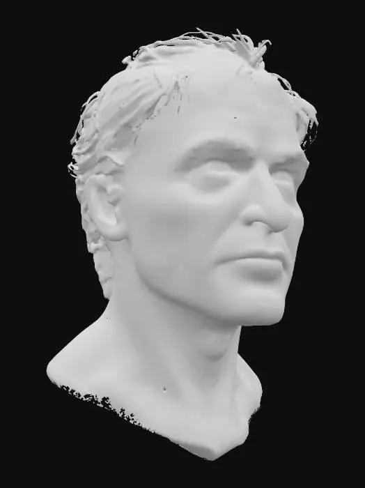 3D model for super high definition bust of a Liev Schreiber