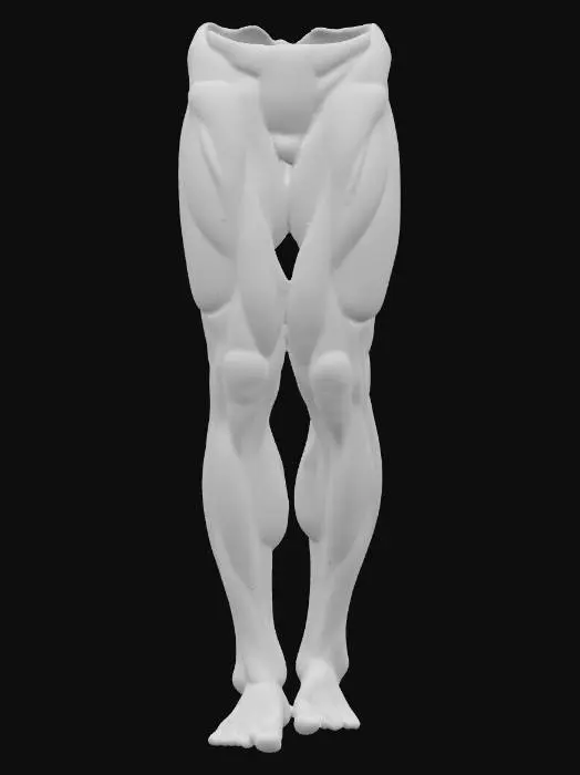 3D model for man leg
