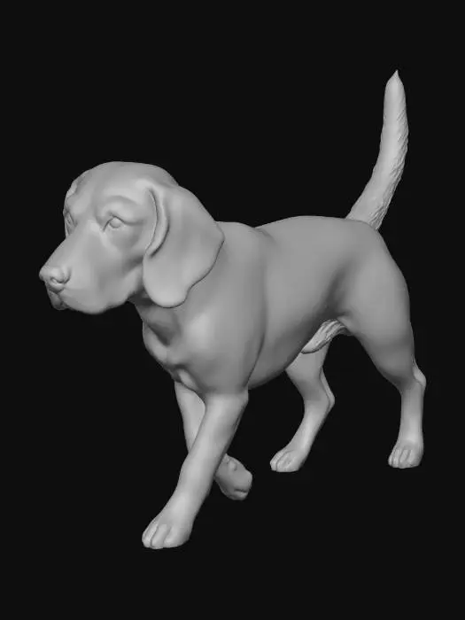3D model for Beagle Stroll
